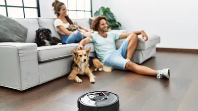 Man And Woman Couple Sitting On Sofa With Dogs Cleaning