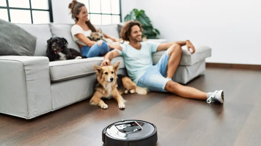 Man And Woman Couple Sitting On Sofa With Dogs Cleaning