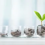 Glass Jar Filled With Coins With A Small Seedling Growing