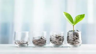 Glass Jar Filled With Coins With A Small Seedling Growing