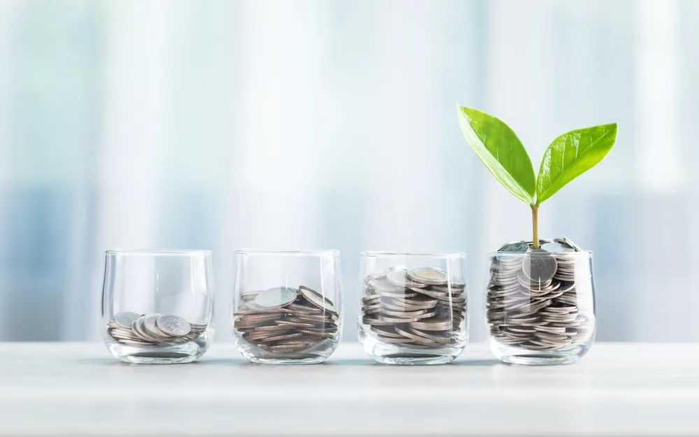 Glass Jar Filled With Coins With A Small Seedling Growing